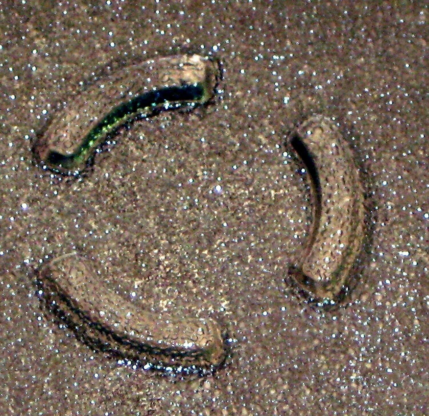 Dako FITS with KitchenAid Microwave Glass 12 inch Plate tray 4393799-B0053F8DIS